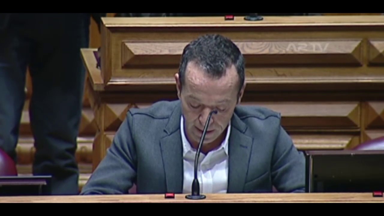Ernesto Ferraz | Incêndios na Madeira em 2016 | Ministro do Ambiente e Transição Energética | AR